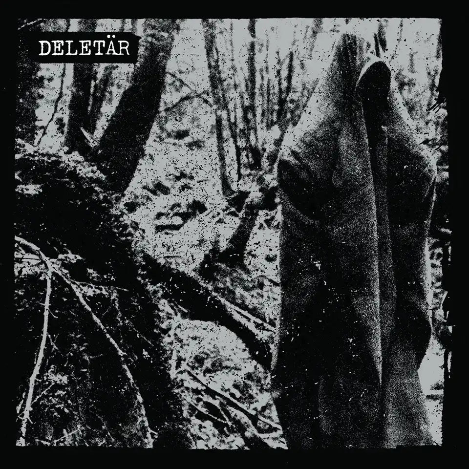 DELETÄR - 2023 - LP