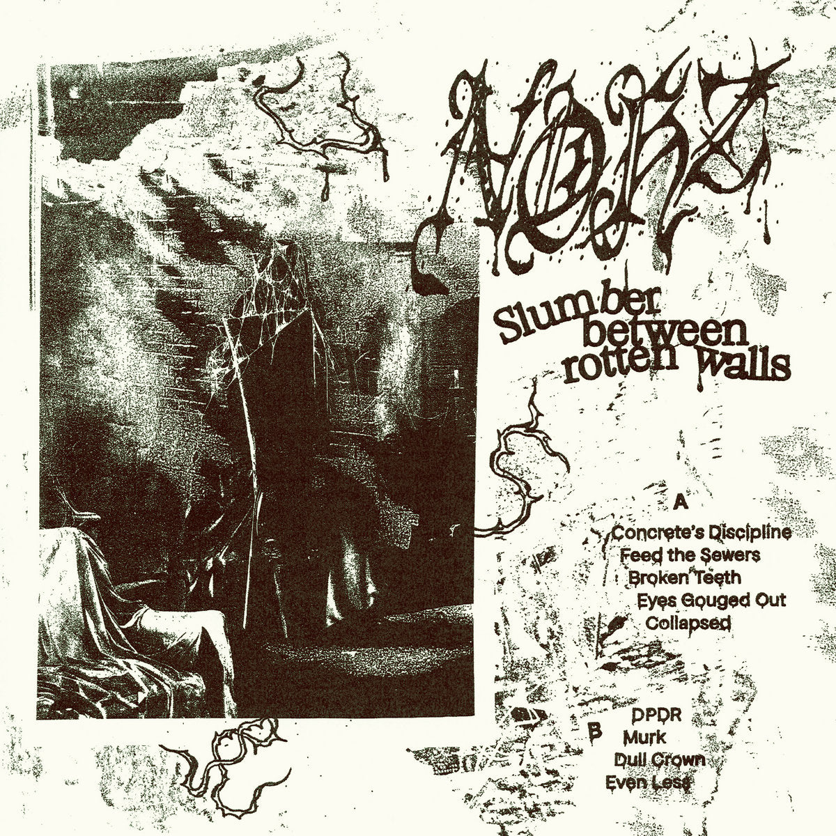 NOHZ - Slumber Between Rotten Walls - LP