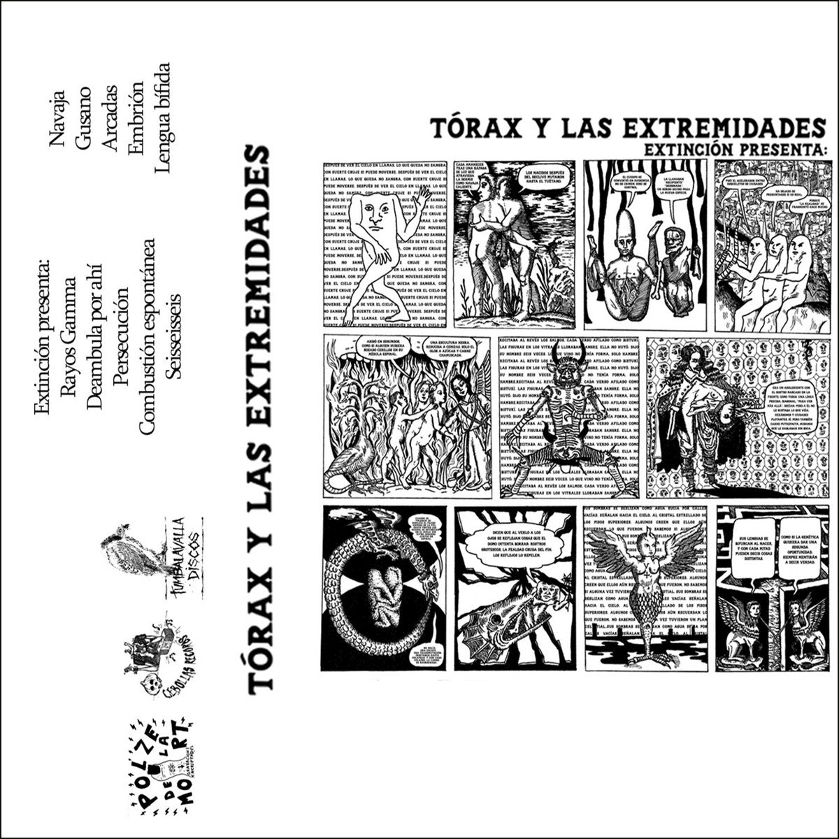 TÓRAX Y LAS EXTREMIDADES - Extinción Presenta: - Cassette