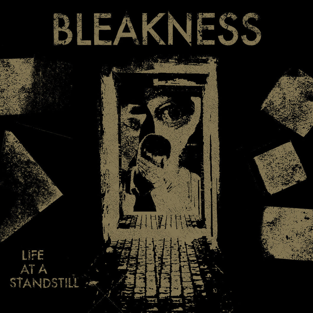BLEAKNESS - Functionally Extinct - LP