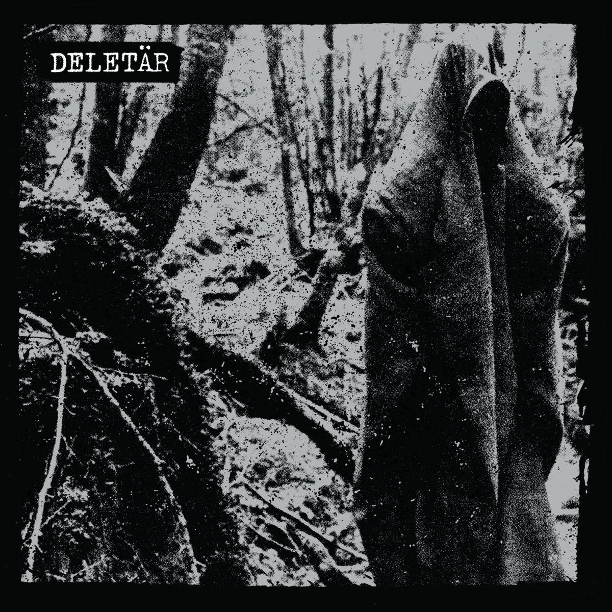 DELETÄR - 2023 - LP