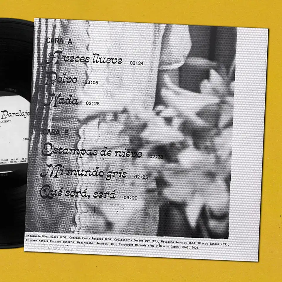 ERROR DE PARALAJE - Imagen Latente - 12" (MET.42)