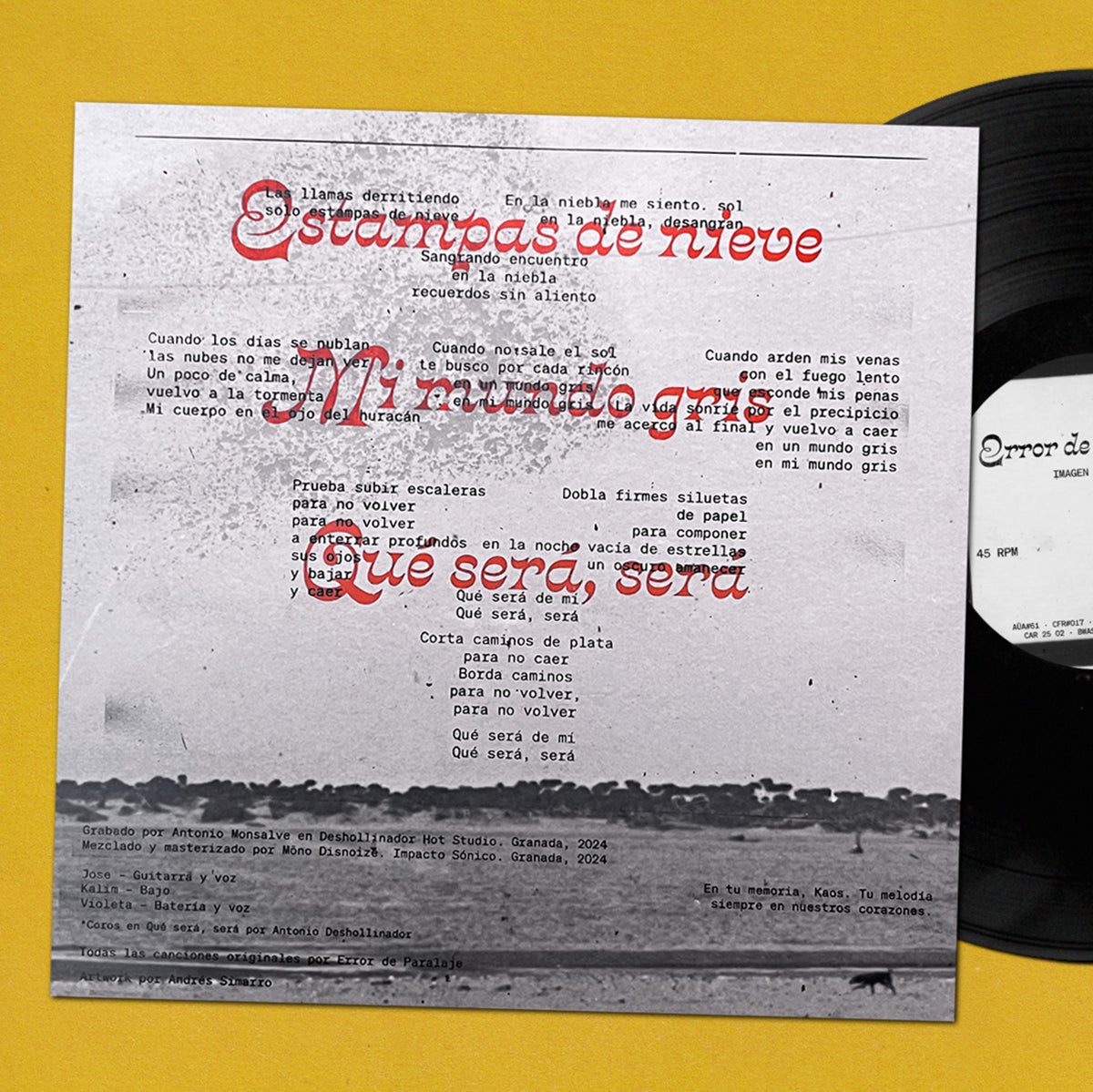 ERROR DE PARALAJE - Imagen Latente - 12" (MET.42)