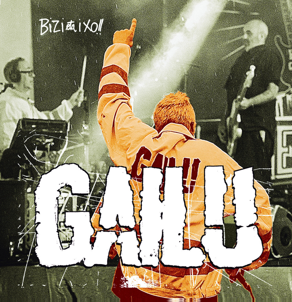 GAILU -Bizi Eta Ixo!! - LP