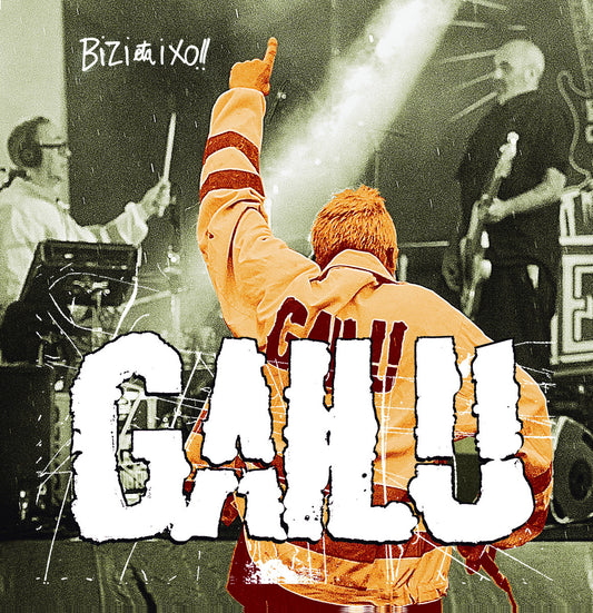 GAILU -Bizi Eta Ixo!! - LP
