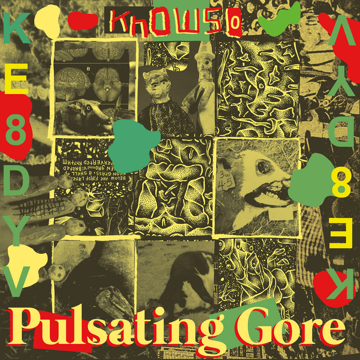 KNOWSO - Pulsating Gore - LP