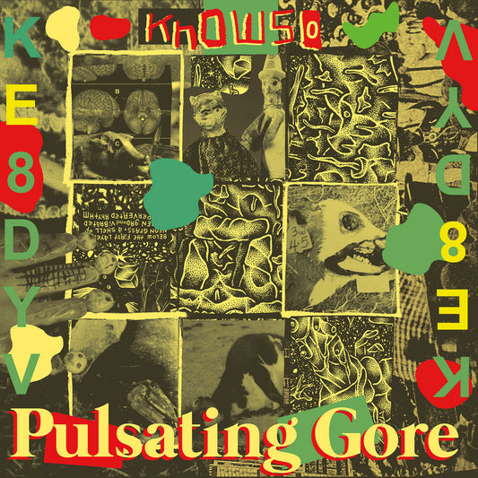 KNOWSO - Pulsating Gore - LP