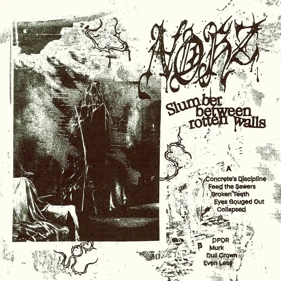 NOHZ - Slumber Between Rotten Walls - LP