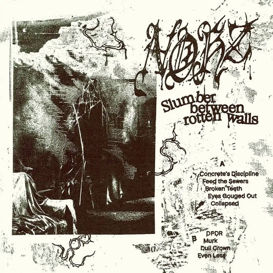 NOHZ - Slumber Between Rotten Walls - LP