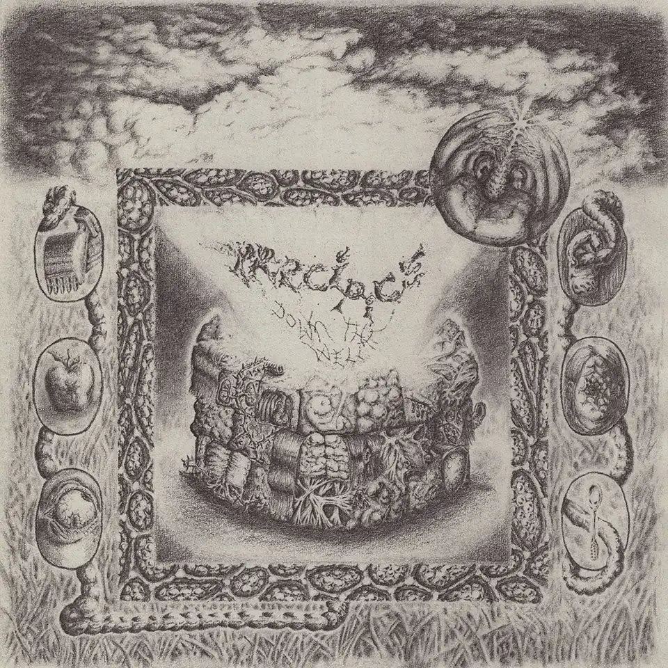 PRECIPICE - Down The Well - LP