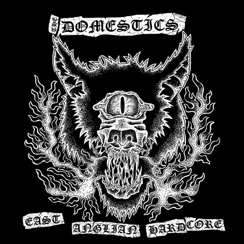 THE DOMESTICS - East Anglian Hardcore - LP
