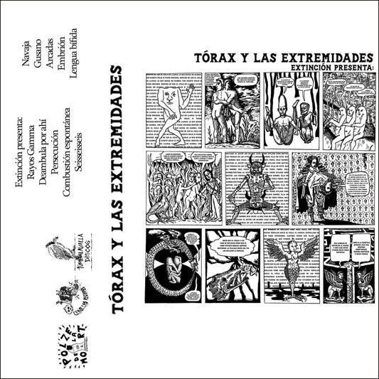 TÓRAX Y LAS EXTREMIDADES - Extinción Presenta: - Cassette
