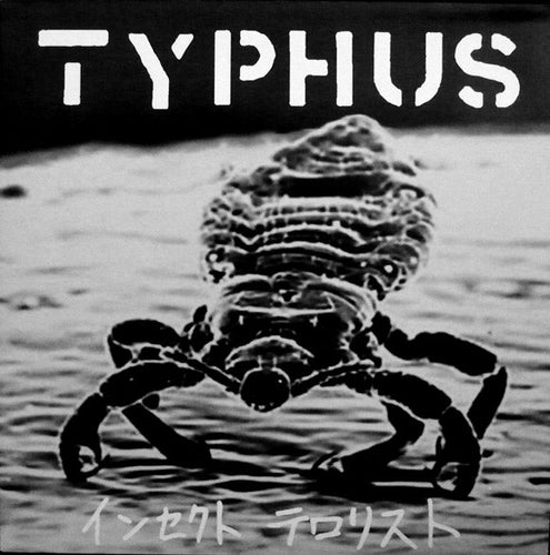 Typhus – インセクト テロリスト / Insect Terrorist - LP