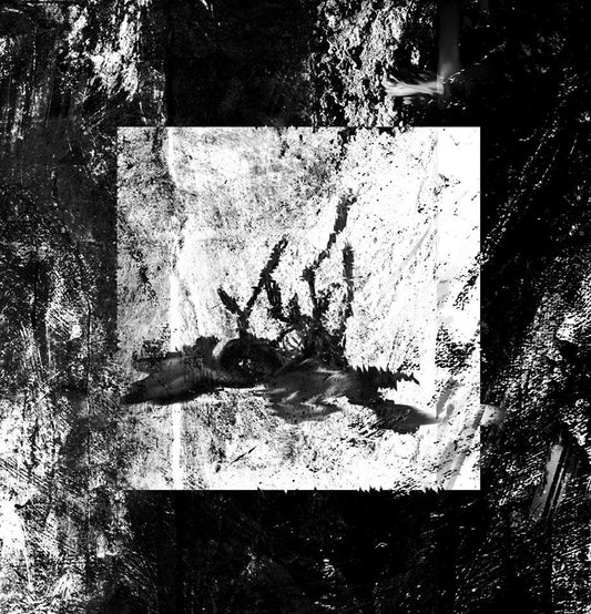 MARASME - De Llums i Ombres - LP