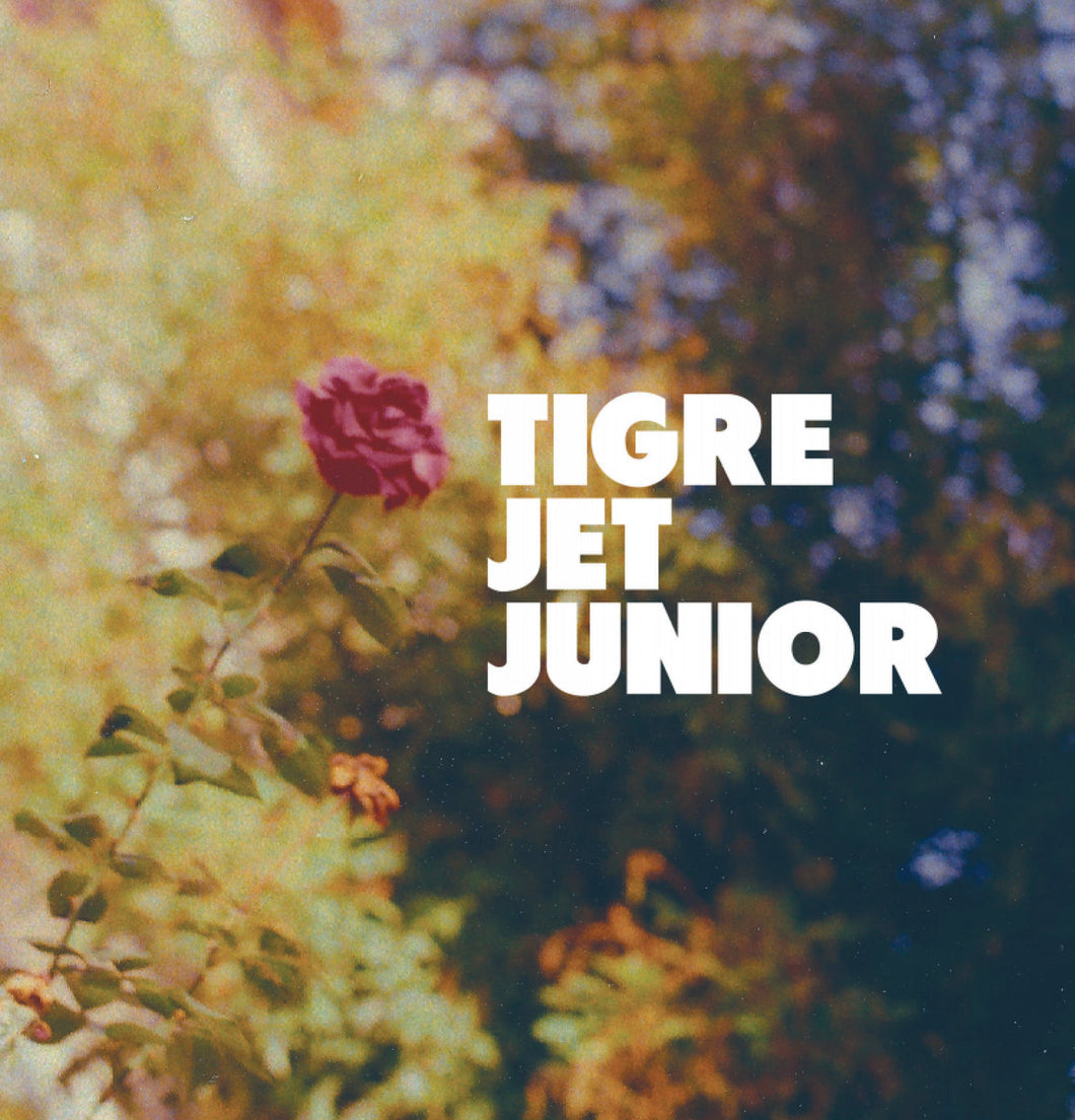 TIGRE JET JUNIOR - ep2  - EP